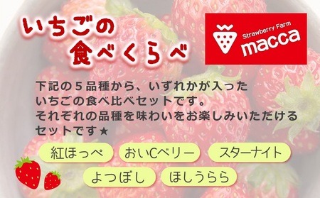「ひょうご推奨ブランド」認証「西脇市産いちご食べくらべセット」（1箱2パック）令和８年２月上旬配送分～いちご畑macca～（06-39）