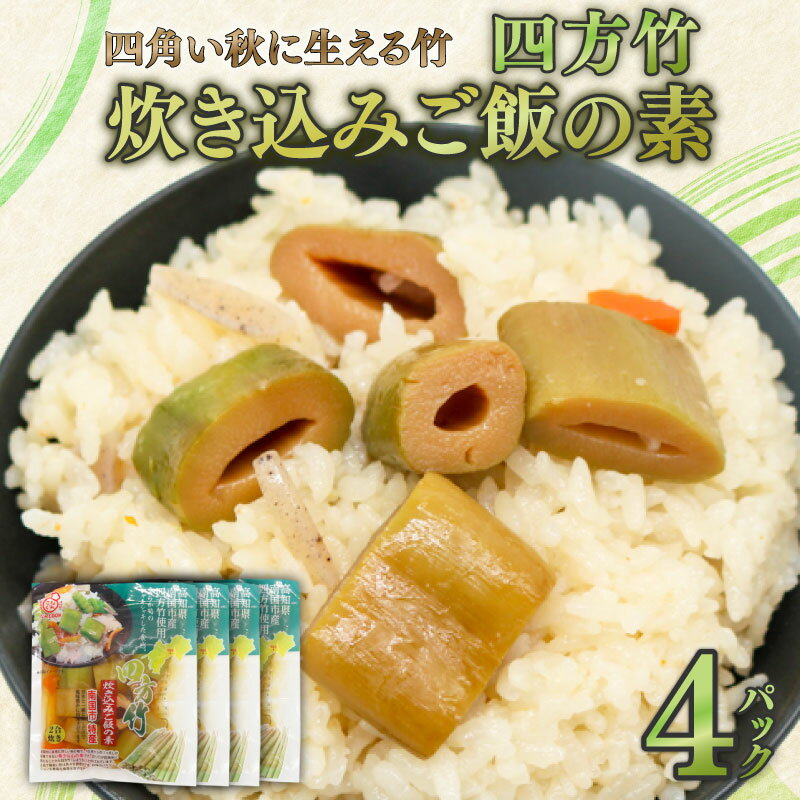 【ふるさと納税】 筍 タケノコ 竹の子 野菜 四方竹 炊き込み ご飯の素 175g×4パック シャキシャキ 食感 珍味 季節 特産 珍しい 柔らか 炊き込みご飯 高知県 南国市