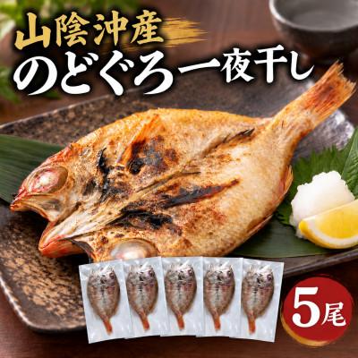 ふるさと納税 松江市 山陰沖産のどぐろ一夜干し 5尾(100g以上×5)