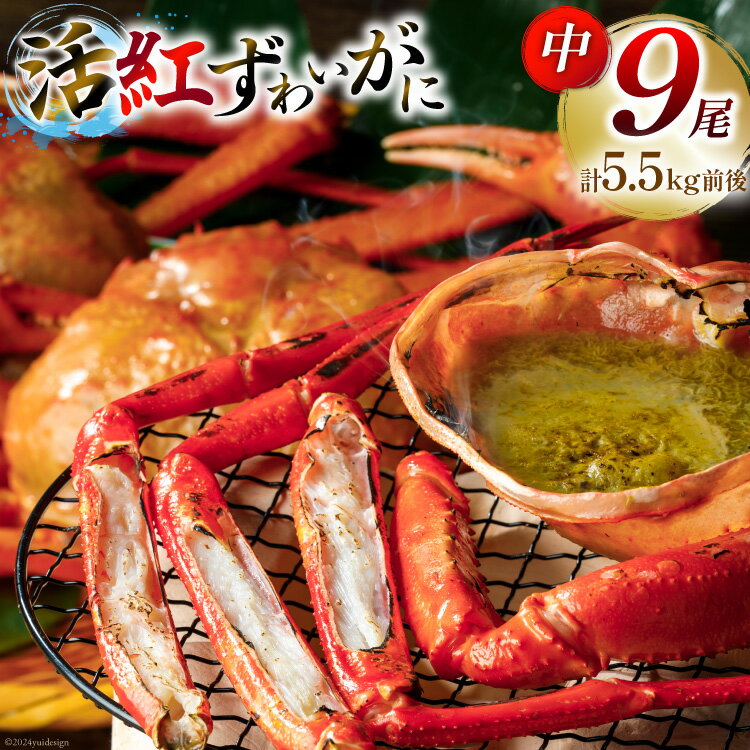 【ふるさと納税】【能登半島 漁協直送 3月以降発送】 活 紅ズワイガニ 9尾(中サイズ) 計 5.5kg 前後 [JF西海 石川県 志賀町 AM4219] 蟹 カニ かに ズワイガニ ずわいがに