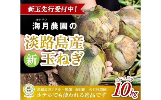 【新玉予約】海月館 自社農場栽培！淡路島産 新玉ねぎ 10kg