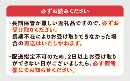 【先行予約】【2025年3月以降順次発送】壱岐市産 いちご ゆめのか 1kg（250g×4パック）《壱岐市》【壱岐市農業協同組合】 イチゴ フルーツ 果物 スムージー 完熟 春いちご 先行予約 数量限