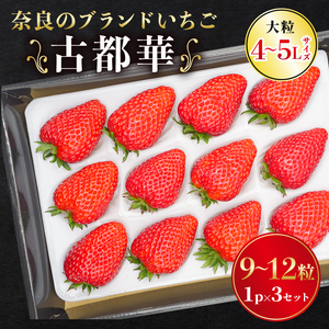 【先行予約】古都華 大粒 1パック×3セット【2027年1月～順次発送】