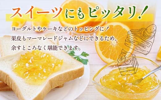 ★テレビで紹介された★ 数量限定 グレープフルーツ 月夜実 白 つくよみ 計4kg以上 期間限定 希少 完熟 果物 くだもの 柑橘 オリジナル ブランド 国産 食品 人気 おすすめ デザート スイーツ