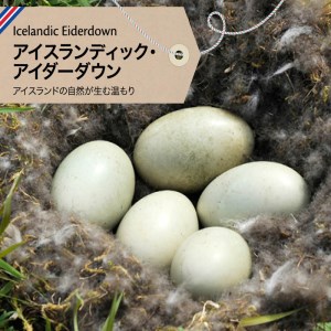 【アイスランド産アイダーダウン】羽毛布団　シングル＜ピンク＞　「舞鳳凰　インド原綿（超長綿）」使用