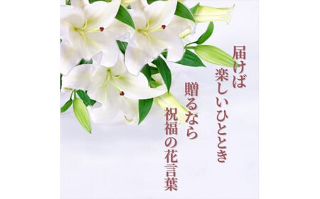 【百合の王様】【未開花/長持ち】農林水産大臣賞を受賞したフローリストがアレンジする“純白のカサブランカ”【 花 お花 神奈川県 小田原市 】