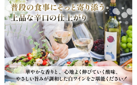 ワイン 白 why'n デラウェア 2025 750mL 1本 [oboco grapes 山形県 高畠町 tk06ayt250010] デラウェア 辛口 わいん 日本ワイン 国産 ぶどう 果実酒 W