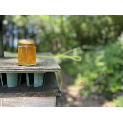 ふるさと納税 恵那市 恵那蜂蜜3本セット(蓮華300g、百花1000g、栗500g) |  | 03