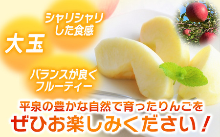 【11月中旬頃より順次発送】大文字りんご園 大夢（おおゆめ）約3kg (7～10玉)/   リンゴ【dma513-l-oy-3C】