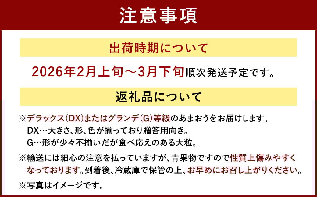 福岡産【春】 あまおう 6パック いちご 苺 果物 フルーツ 福岡 太宰府