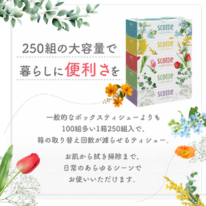 定期便 ティッシュ スコッティ フラワーボックス 3箱 × 1 パック《 3ヶ月ごと計 4回 》ティッシュセット