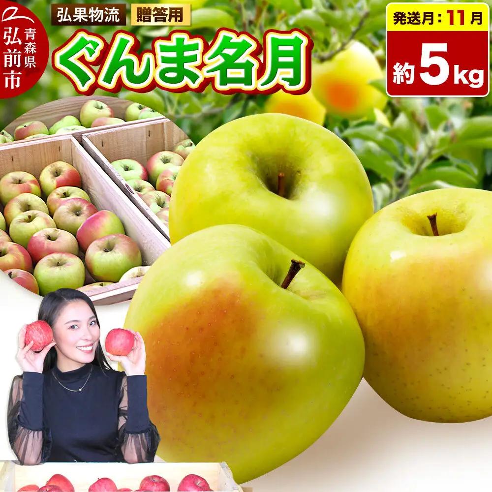 【26年11月発送】りんご ぐんま名月【贈答用】約5kg 先行受付 青森県 弘前市 果物 フルーツ 林檎 リンゴ くだもの ギフト 贈り物
