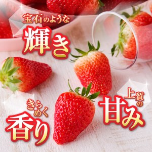 a15-472　いちご静岡限定「きらぴ香」約1.6kg 計6パック