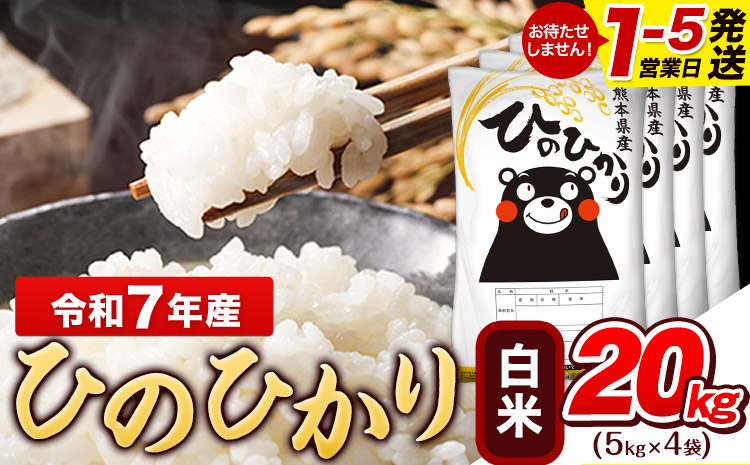 令和7年産 ひのひかり 白米 20kg (5kg×4袋)《1-5日以内に出荷予定(土日祝除く)》熊本県産 白米 精米 ひの 米 こめ ヒノヒカリ コメ お米 おこめ