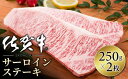 【ふるさと納税】佐賀牛 サーロインステーキ 500g (250g×2枚)／ふるさと納税 お肉 肉 ステーキ 焼肉 焼き肉 にく ギフト 贈答品 佐賀牛 佐賀 国産 送料無料 冷凍