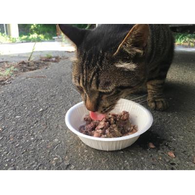 ふるさと納税 むかわ町 肉まみれ(犬猫用レトルトペットフード) 鹿肉 60g×10パック