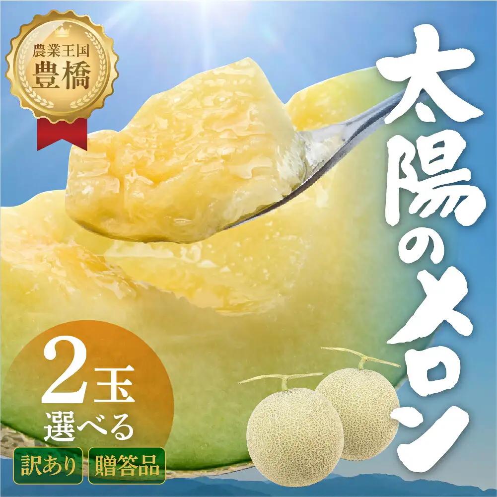 温室マスクメロン 2玉 贈答 豊橋 メロン