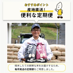 【定期便】米 6kg 6ヶ月 京都丹波米 こしひかり 白米 6回定期便 6kg （2kg×3袋） × 6回 計36kg ※精米したてをお届け《小分け 小袋 チャック付 米・食味鑑定士 厳選 コシヒカリ
