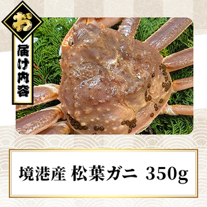 ＜期間限定・数量限定＞＜訳あり＞＜活冷＞境港産 松葉ガニ(350g) 国産 魚介 海鮮 海の幸 新鮮 松葉ガニ 松葉蟹 冷蔵【sm-EF001-B】【やまのおかげ屋】