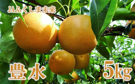 
                  No.1488 なし　特秀「豊水」約5kg【2025年発送】
                