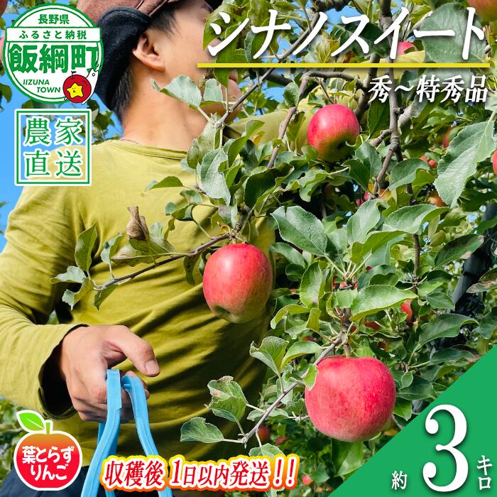 【ふるさと納税】 りんご 葉とらず シナノスイート 秀 〜 特秀 3kg 採れたてを発送 フレッシュフルーツミカズキ 令和8年度収穫分 長野県 飯綱町 〔 信州 果物 フルーツ リンゴ 長野 予約 農家直送 〕発送時期：2026年10月中旬頃〜2026年10月下旬頃 {***}