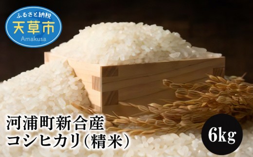 
                  S112-005_〈2026年産〉河浦町新合産　コシヒカリ　精米　6kg（3kg×2）
                