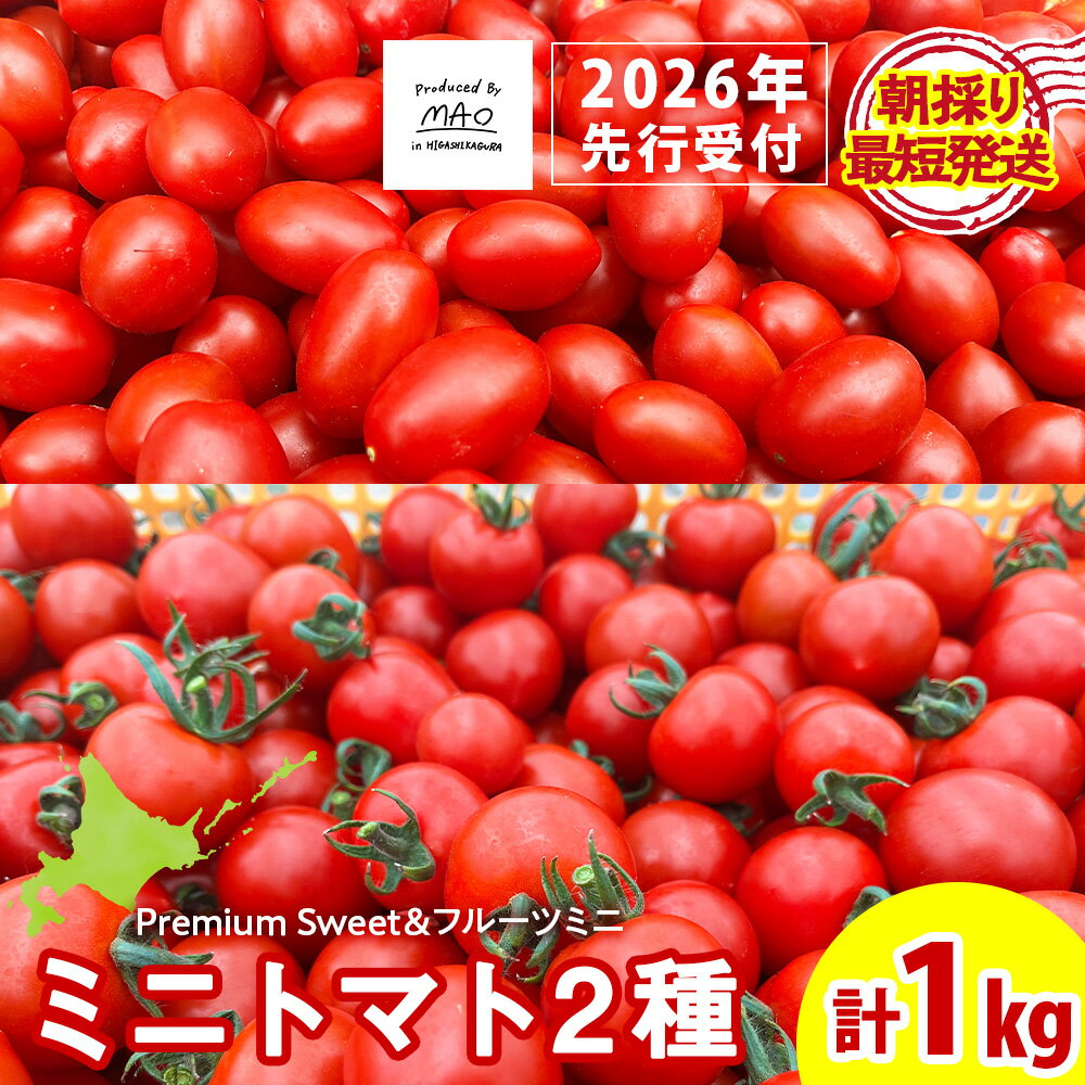 【ふるさと納税】【2026年先行予約】朝採りPremium Sweet ＆フルーツミニ 計1kgミニトマト 朝採り 新鮮 生鮮 野菜 トマト ふるさと納税 北海道 東神楽