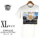 【ふるさと納税】【5周年記念】CENTER SOUND STORY　Tシャツ　白（XLサイズ）