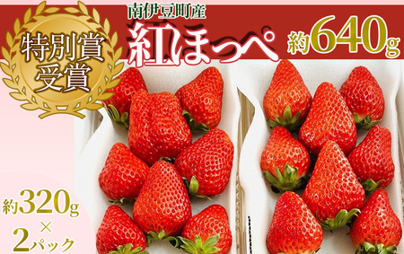 【先行予約】特別賞受賞！ご自宅用いちごBabyBerryFarm　300グラム２パック　【いちご イチゴ 苺 紅ほっぺ 果物 フルーツ 静岡県産 ふるさと納税 国産 産地直送】　　　　いちごいちごいちごいちごいちごいちごいちごいちごいちごいちごいちごいちごいちごいちごいちごいちごいちごいちごいちごいちごいちごいちごいちごいちごいちごいちごいちごいちごいちごいちごいちごいちごいちごいちごいちごいちごいちごいちごいちごいちごいちごいちごいちごいちごいちごいちごいちごいちごいちごいちごいちごいちごいちごいちごいち