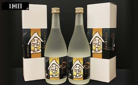【戸沢村×金山町 共通返礼品】＜定期便＞ 最上のお酒 飲み比べ定期便 2回 米焼酎 そば焼酎  FAE-0025