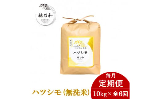 ＜発送月固定定期便＞＜先行予約＞岐阜県産ハツシモ(無洗米)10kg 毎月定期便全6回【4055817】