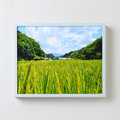 ふるさと納税 飯南町 GOSHIKI FRAME【夏空・Mサイズ】(町産ヒノキのフォトフレーム)