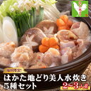 【ふるさと納税】 福岡限定 ！ はかた 地どり 美人 水炊き 5種 セット　2～3人前 お肉 肉 地鶏 鶏 鍋 国産 九州産 福岡県 福岡 東峰村 3G44