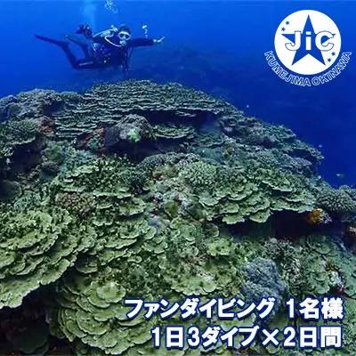 ダイビング 久米島ファンダイビング利用券1名様 1日3ダイブ×2日間  マリン アクティビティ