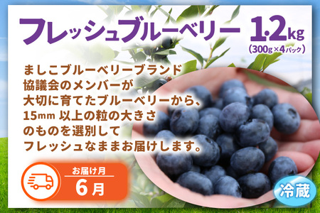 栃木県産 フルーツ 定期便 年6回 道の駅ましこ AA043