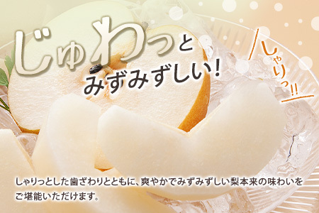 有袋・豊水梨（ほうすいなし）約3kg 8玉～9玉 天然ミネラル栽培 ナシ フルーツ 果物 くだもの 旬 宮崎県