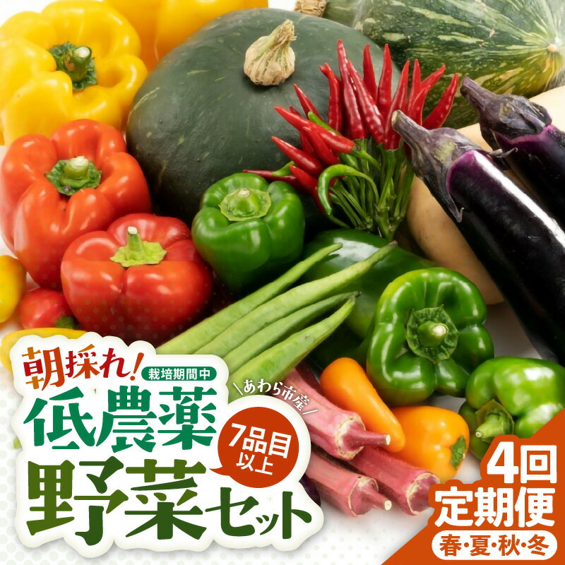 【ふるさと納税】＜定期便 4回＞ 新鮮野菜セット 1箱 7品目以上 【春 夏 秋 冬 発送】／ 季節 野菜 ボックス BOX セット セレクト 農家 おまかせ 多品目 旬 詰め合わせ 根菜 葉物