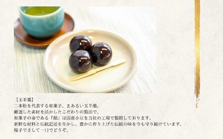 創業嘉永六年 玉家玉振堂の玉羊羹18個入り【玉家玉振堂】