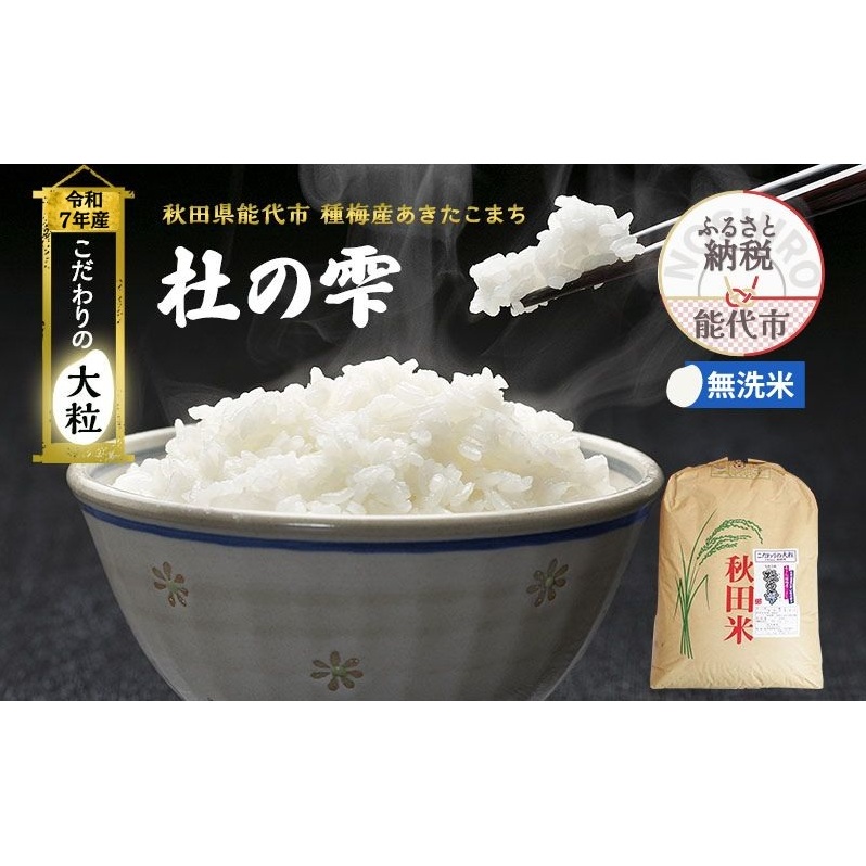 令和7年産 新米 無洗米 秋田 あきたこまち 杜の雫 26kg 1袋 秋田県産 米 お米 こだわりの大粒 種梅産 白米 精米 ご飯 ブランド米 大粒 おにぎり 産地直送 送料無料 こめ 秋田県