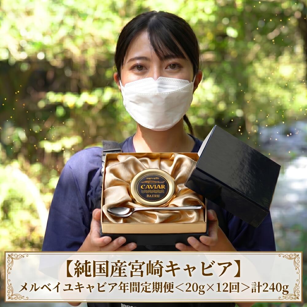 【ふるさと納税】【純国産宮崎キャビア】メルベイユキャビア年間定期便　計240g＜20g×12回＞キャビア 定期便 チョウザメの卵 チョウザメ 魚介 魚卵 おつまみ ふるさと 人気 おすすめ 贈答 ギフト お裾分け プレゼント 宮崎県 小林市 送料無料