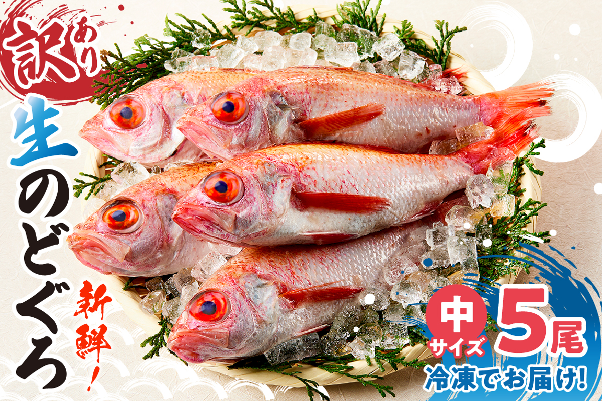【兵庫県香住産 訳あり のどぐろ 処理済 中サイズ 5匹 約700～800g 冷凍】 国産 ノドグロ ワケアリ 海鮮 BBQ バーベキュー 焼き魚 人気 大人気 ランキング ふるさと納税 返礼品 おすすめ 兵庫県 香美町 香住 柴山 宿院商店 33-30