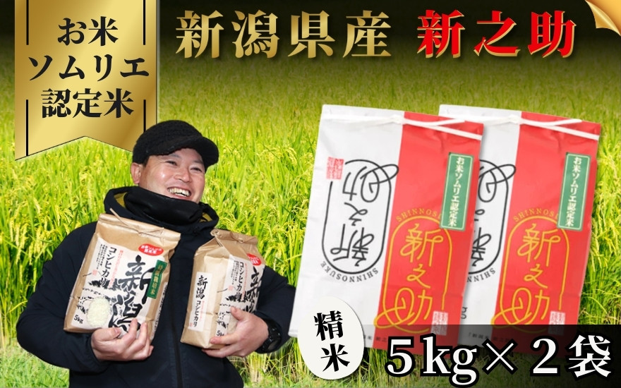 
                  【先行予約】令和8年産 米 10kg ( 5kg × 2袋 ) 五泉市産 新之助 お米ソムリエのお米 | 白米 精米 しんのすけ お米 おこめ コメ こめ おすすめ 人気 新潟県 五泉市 エバーグリーン農場
                