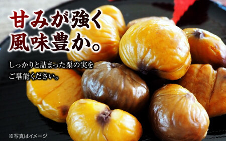 生栗 2kg【9月下旬から配送開始】 生栗 2kg[AGAR005]