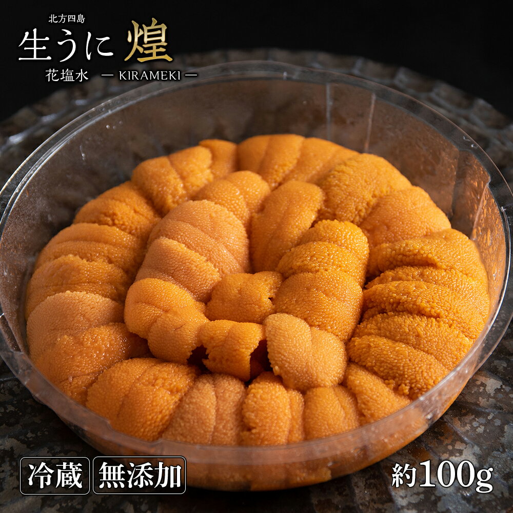 【ふるさと納税】北海道 北方四島 生うに 花塩水「煌」うに 赤利尻 ばふん ウニ 雲丹 エゾバフンウニ 生うに 北海道 千歳 北海道ふるさと納税 千歳市 ふるさと納税【北海道千歳市】ギフト ふるさと納税