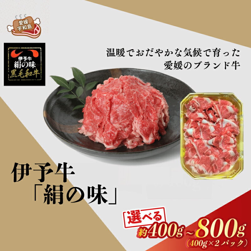 【ふるさと納税】 国産牛 黒毛和牛 細切れ 選べる内容量 400g ~ 800g 伊予牛 「 絹の味 」 全国農業協同組合連合会 愛媛県本部 牛 牛肉 ぎゅうにく お肉 肉 ブランド牛 高級 niku にく おにく すき焼き すきやき しゃぶしゃぶ 鍋 焼肉 冷凍 特産品 国産 愛媛 宇和島