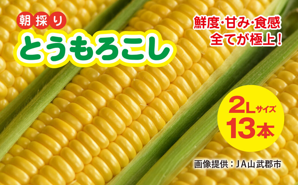【先行予約】【6月下旬～8月中旬発送】 鮮度・甘み・食感 全てが極上! 農業歴30年以上の農家のこだわりが詰まった 朝採り とうもろこし 2L 13本 約5kg　SMCF001