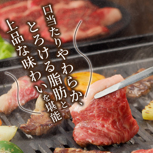 神戸牛カルビ焼肉700g 《 肉 カルビ 神戸牛 焼肉 国産 バーベキュー サシ 和牛 プレゼント ギフト お取り寄せ 送料無料 おすすめ 》