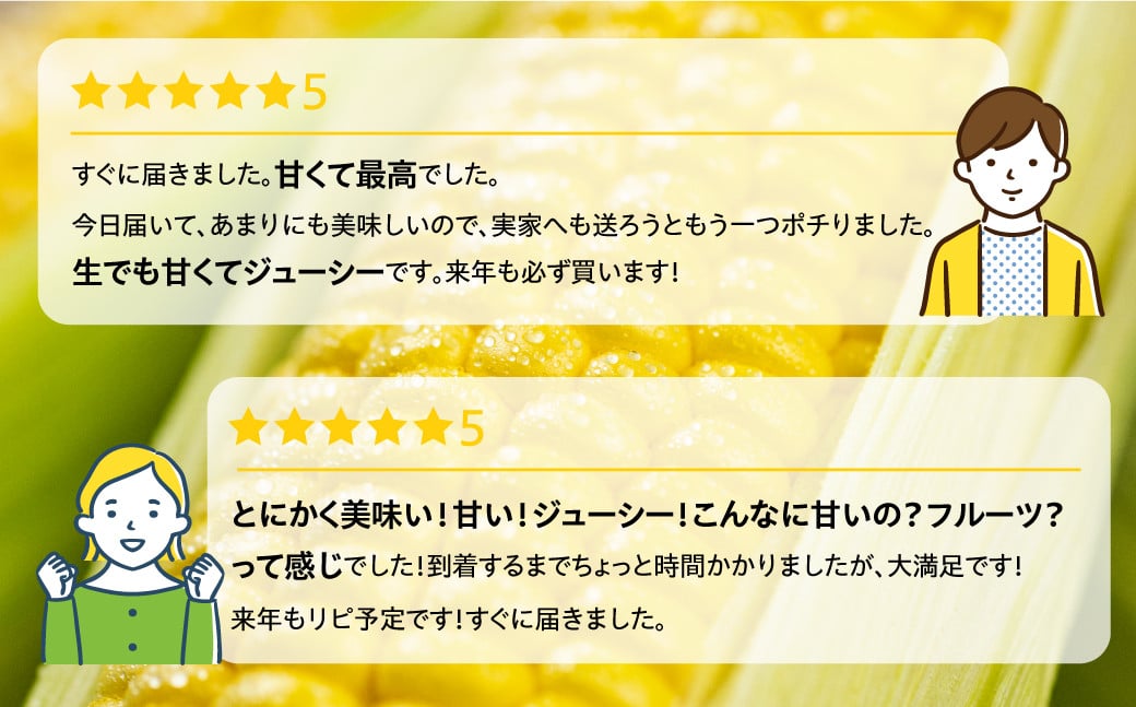 リピーター多数のトウモロコシ！美味しいのお声、たくさん頂戴しています。