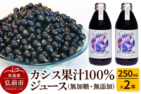 【寄附金額見直しました】カシス果汁100％ジュース（無加糖・無添加）250ml×2本【果汁飲料】