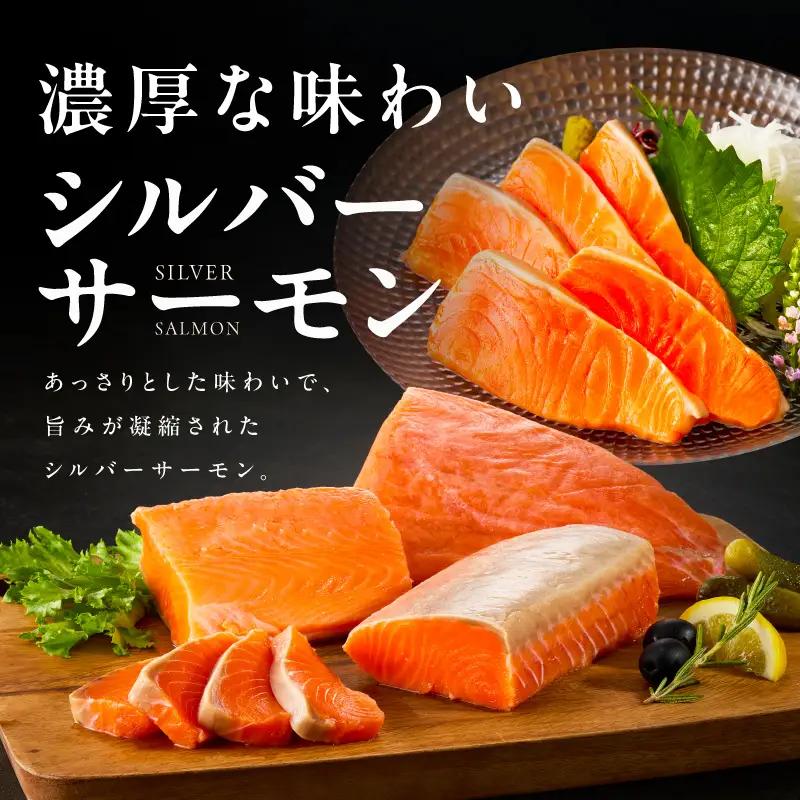 【お試し】サーモン 500g ポーション【訳あり】